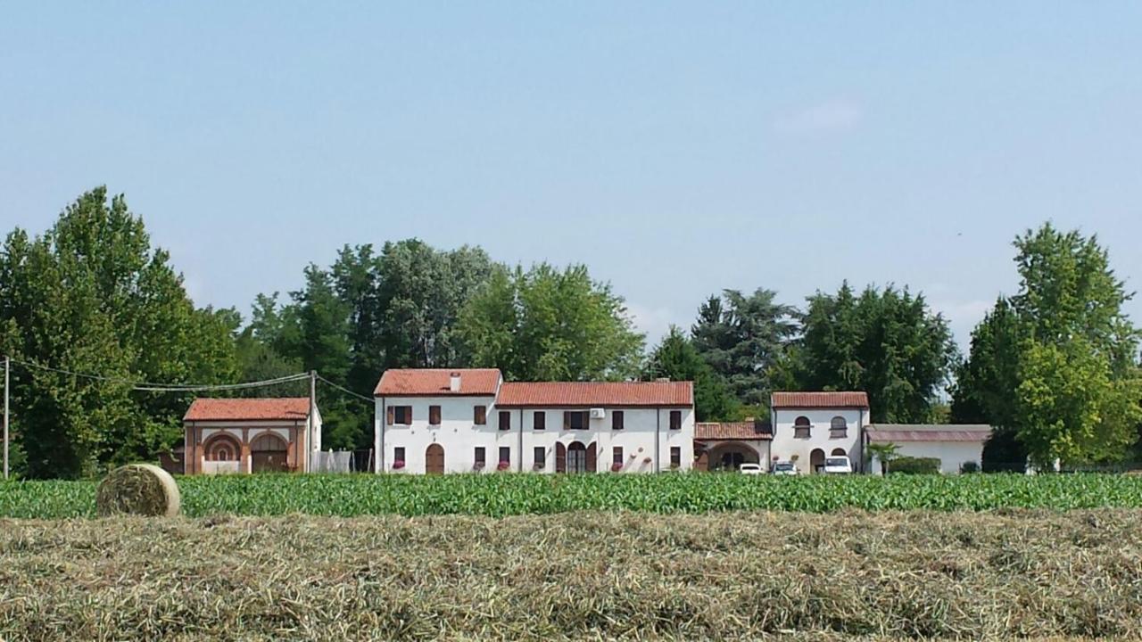 La Casa Delle Rondini Bed & Breakfast Roncoferraro Exterior foto